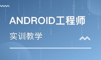 重慶上清寺軟件開發培訓班綜合指南 排名與禮儀服務須知